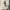 Streetwear Sportswear Fleece Pria green white photo 2