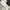 Streetwear Sportswear Fleece Pria green white photo 7