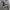 JNCO Vintage Y2K Hoody Pria gray photo 4