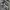 JNCO Vintage Y2K Hoody Pria gray photo 5
