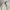 Prada Vintage Luxury Puffer Jacket Wanita Multicolor Cream