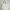 Prada Vintage Luxury Puffer Jacket Wanita Multicolor Cream