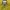 The North Face Outerwear Kids yellow photo 6