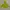 Outerwear Kids Green