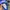 Adidas Streetwear Y2K Sneakers Pria blue photo 5