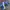Adidas Streetwear Y2K Sneakers Pria blue photo 4