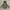 Outerwear Kids gray photo 1
