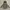 Outerwear Kids Gray