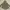 Outerwear Kids gray photo 5