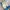 Adidas Streetwear Y2K Sneakers Pria multicolor photo 3