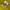 Burberry Outerwear Kids yellow photo 7