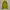 Burberry Outerwear Kids yellow photo 3