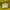 Burberry Outerwear Kids yellow photo 6