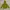 Burberry Outerwear Kids yellow photo 2