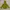 Burberry Outerwear Kids Yellow