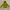 Burberry Outerwear Kids yellow photo 1