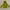 Burberry Outerwear Kids Yellow