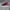 Nike Casual Sneakers Pria black red photo 1
