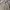 Burberry Sportswear Casual Formal shirt Pria tan photo 2
