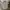 PPFM Vintage Streetwear Formal shirt Pria white black photo 1