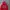Vtg Russell Athletic 00's Spellout Hoodie - Red photo 2