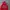 Vtg Russell Athletic 00's Spellout Hoodie - Red