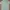 Vintage Polo shirt Pria green photo 2