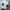 Adidas Casual Sneakers Pria white gray photo 4