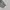 Sculptor Casual Cardigan Pria gray photo 6
