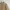 Uniqlo Casual Jumper Pria Tan