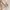 Uniqlo Casual Jumper Pria tan photo 4