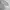 Casual Windbreaker Pria gray photo 6