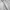 Casual Windbreaker Pria gray photo 5