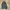 Vintage Y2K Casual pants Pria gray photo 4