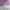 COLORBOX Minimalist Casual T-shirt Wanita purple photo 3