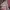 Axes Femme Vintage Babydoll dress Wanita purple photo 5