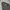 Abercrombie & Fitch Streetwear Casual Hoody Pria Gray