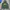 Streetwear Casual Hoody Pria green photo 1
