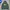 Streetwear Casual Hoody Pria Green