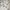 New Era Streetwear Casual Hat Pria cream brown photo 6