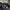 New Era Streetwear Sportswear Hat Pria purple black photo 5