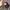 Japanese brand Vintage Skater Hat Pria brown photo 5