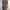 Mango Casual Bodycon dress Wanita green photo 1