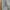 Adidas Y2K Sportswear Hoody Pria gray photo 4