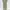 Minimalist Casual Casual dress Wanita green photo 2
