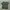 Stussy Vintage Sportswear T-shirt Pria Green
