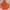 Kappa Sportswear Track jacket Pria orange photo 1