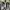 Adidas Vintage Sneakers Pria white photo 4