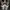 Adidas Vintage Sneakers Pria white photo 2