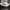 Adidas Vintage Sneakers Pria white photo 3